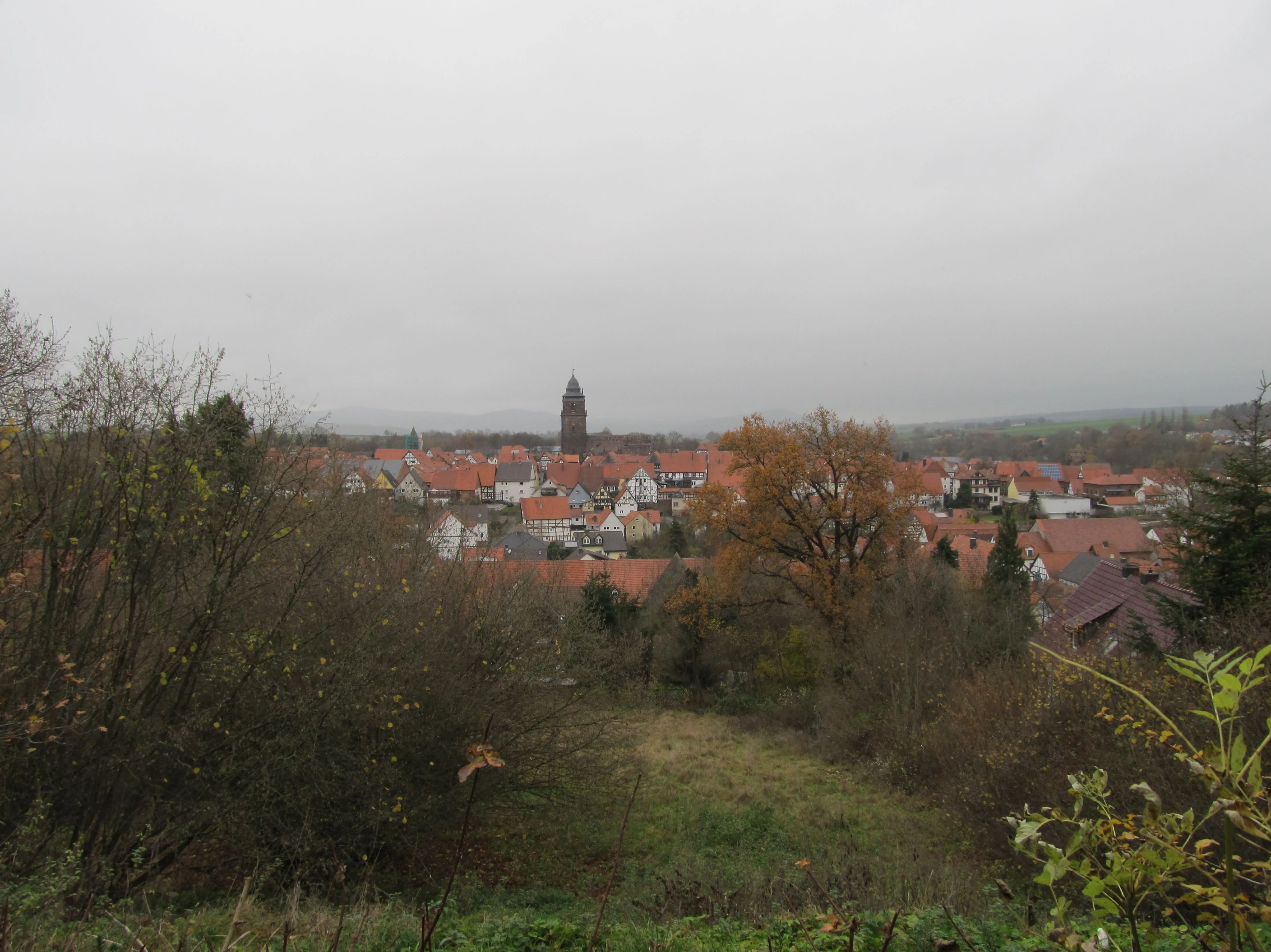 Blick vom Burgberg auf Grebensteins Oberstadt